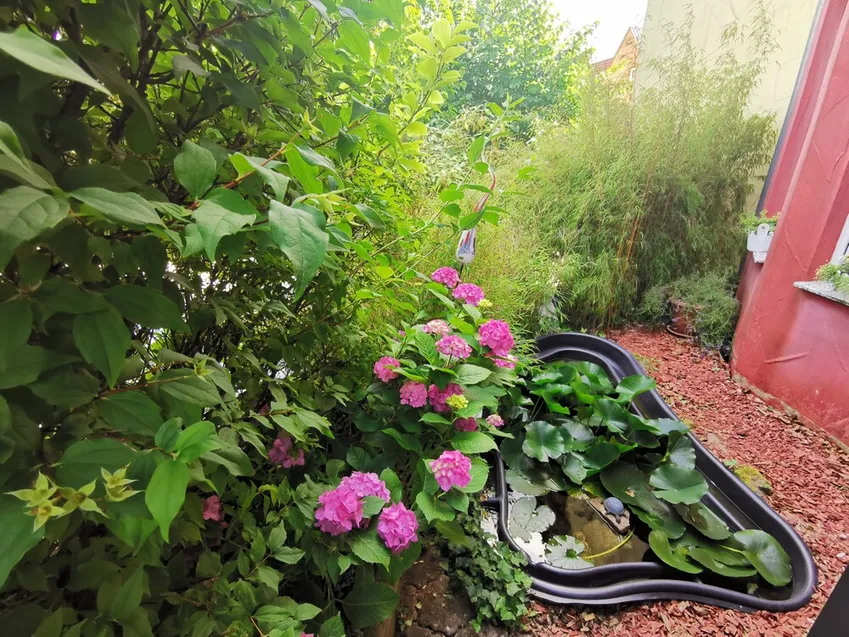 Blumen-Fischteich