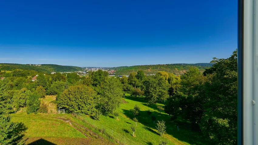 DG_Ausblick_01