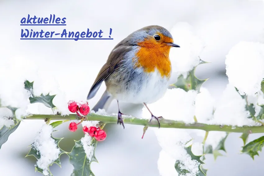 Herzlich Willkommen ...