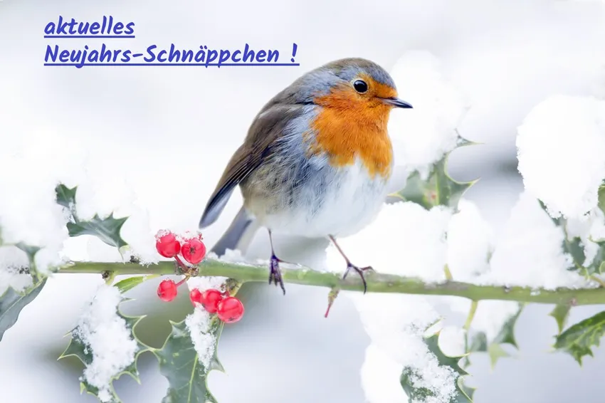 ... greifen Sie zu !