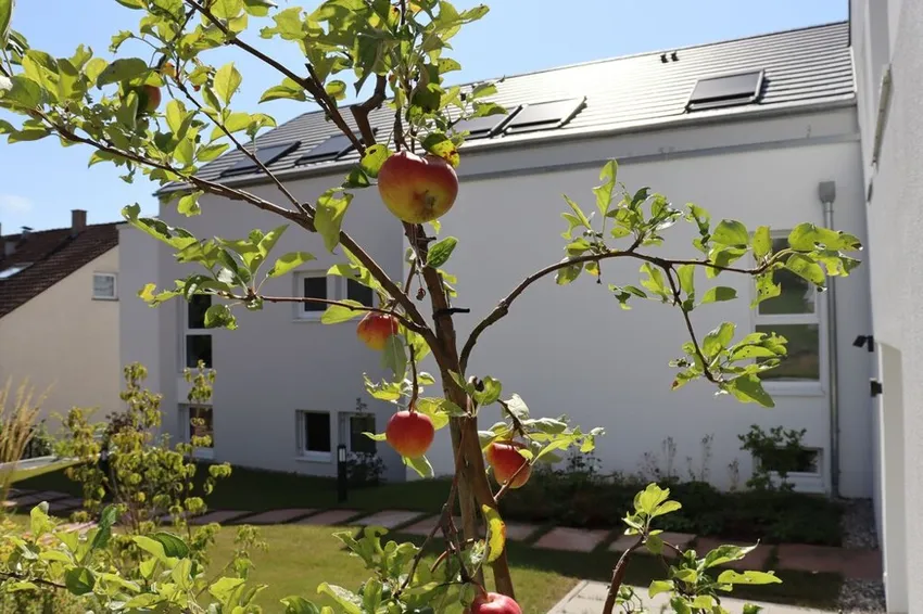 Erster Obstanbau