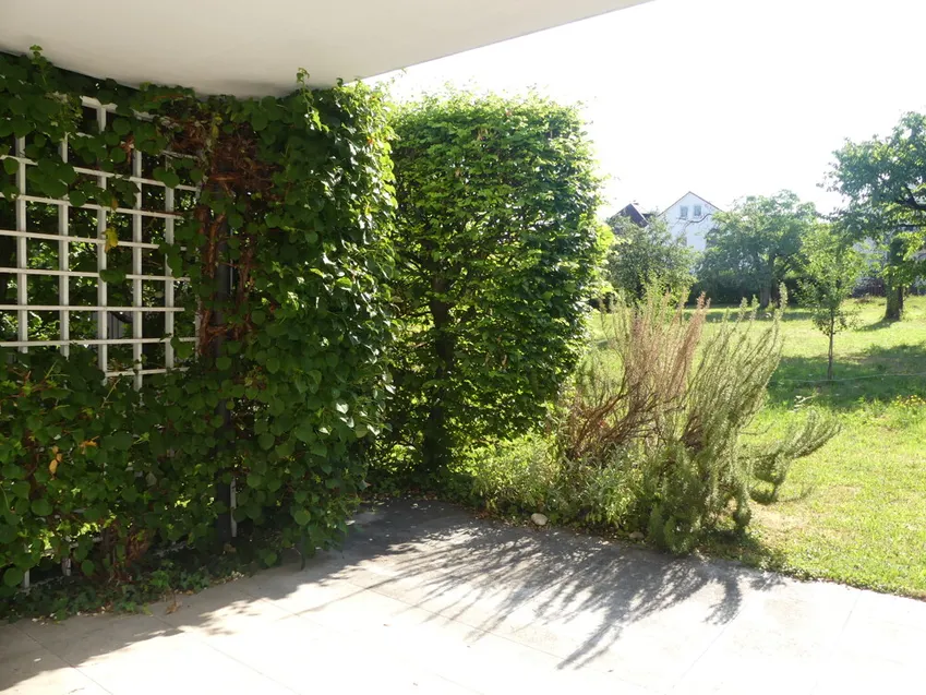 EG: sonnige Terrasse