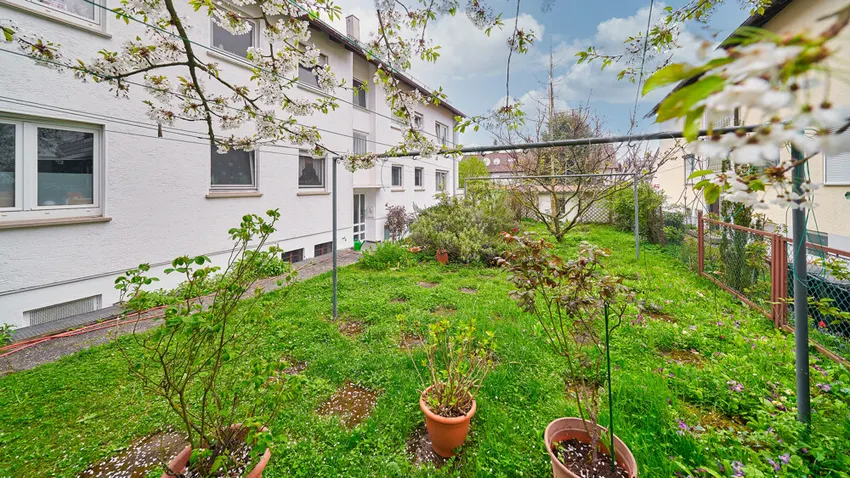 Wiese_Innenhof