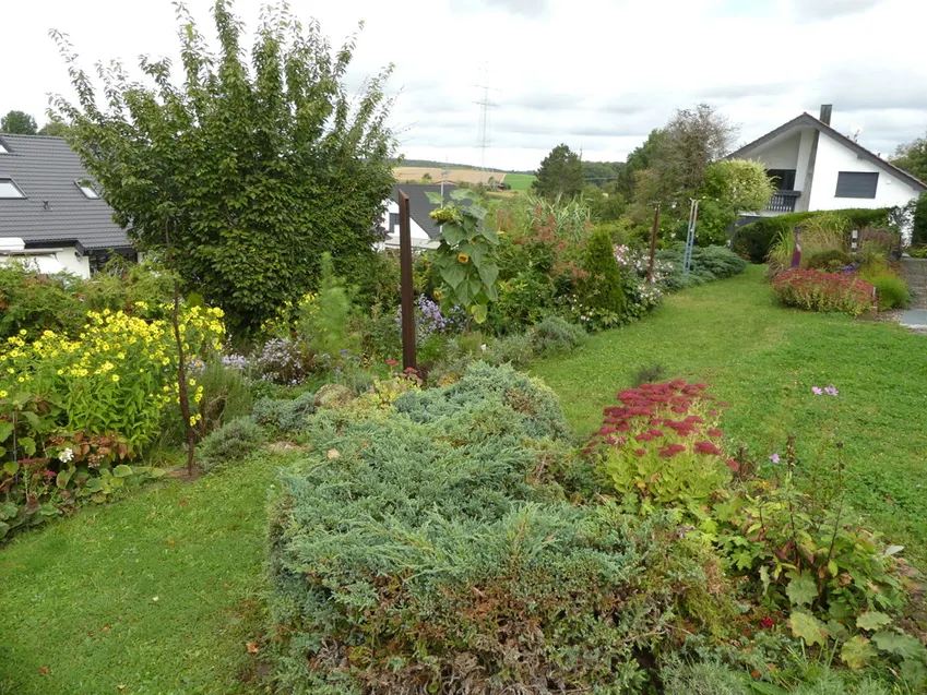 Gartenbereich 2