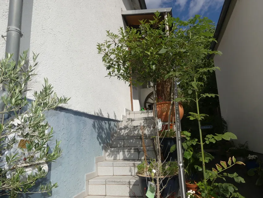 Hauszugang