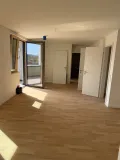 Wohn- Essbereich