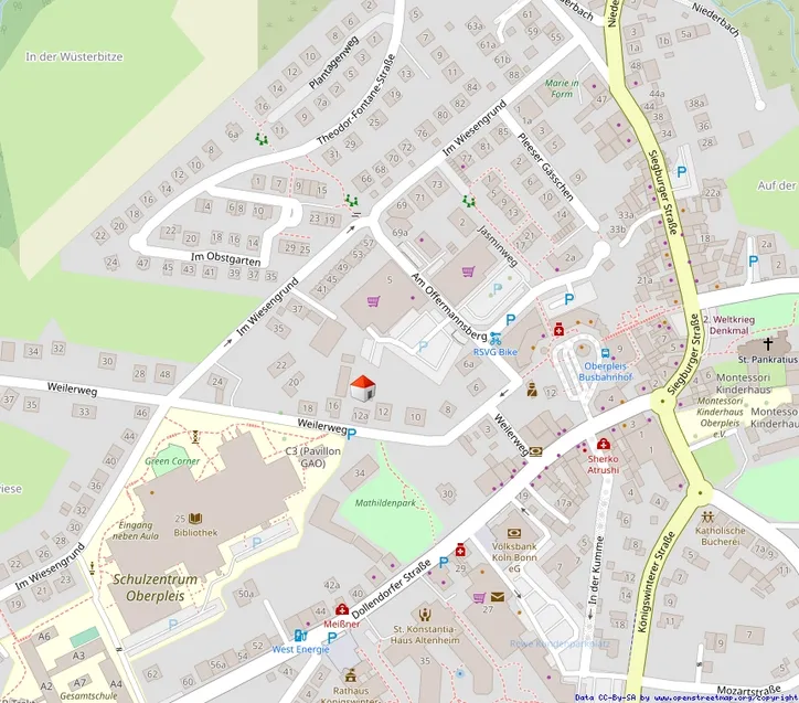 Lageplan mikro