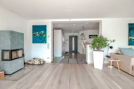 Eingangsbereich / Kamin