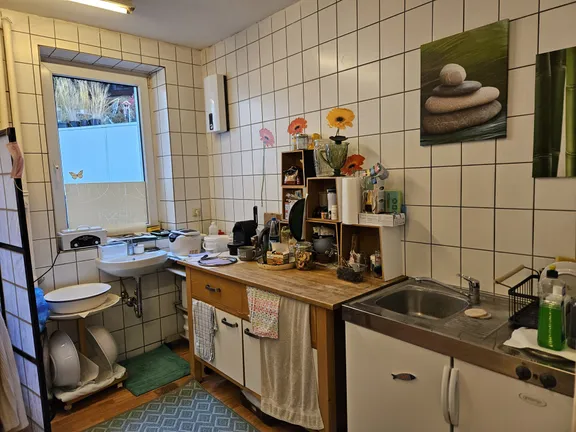 Hintereingang / Küche