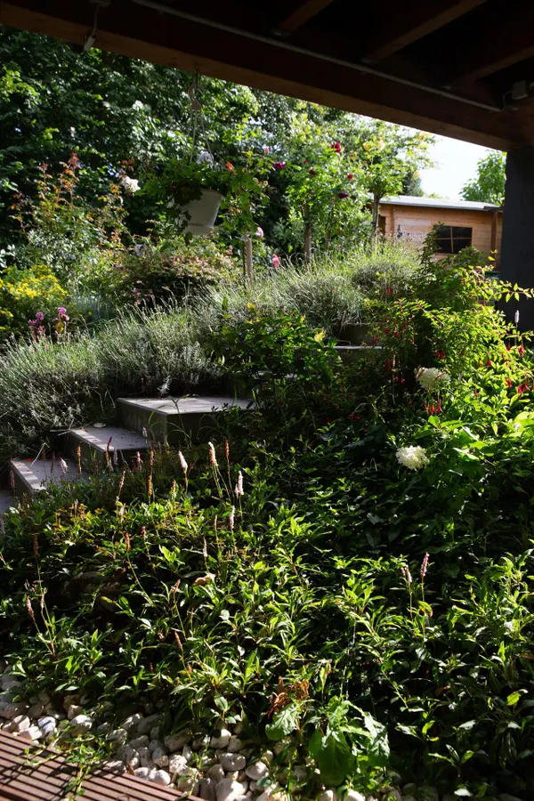 Gartenansicht