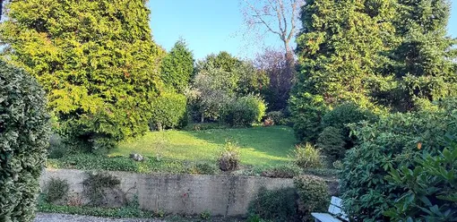 Gartenanlage, Sträucher und Gewächse