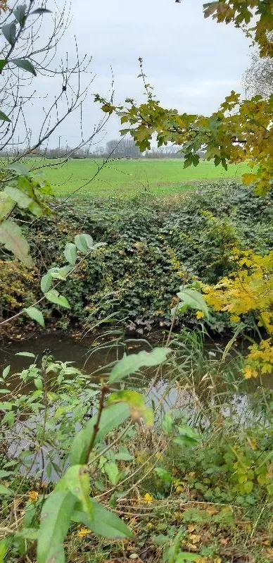 .. über den Wasserlauf