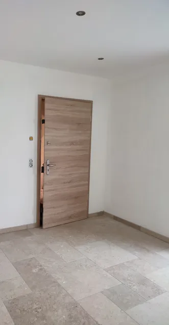 Hochwertige Wohnungseingangstüre