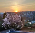 Willkommen Frühling!