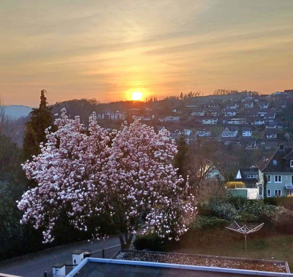 Willkommen Frühling!
