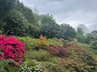 Garten Teilansicht