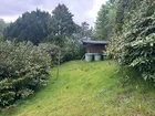 Oberer Bereich des Grundstückes