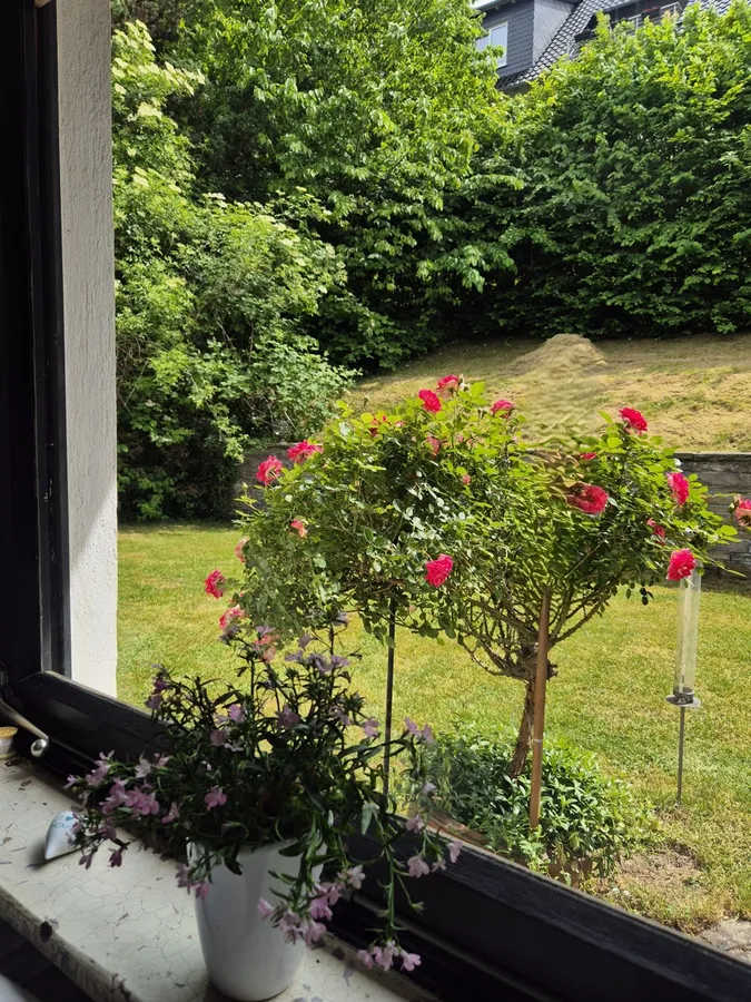 Küchenausblick auf die Terrasse