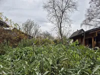 Verwunschener Garten