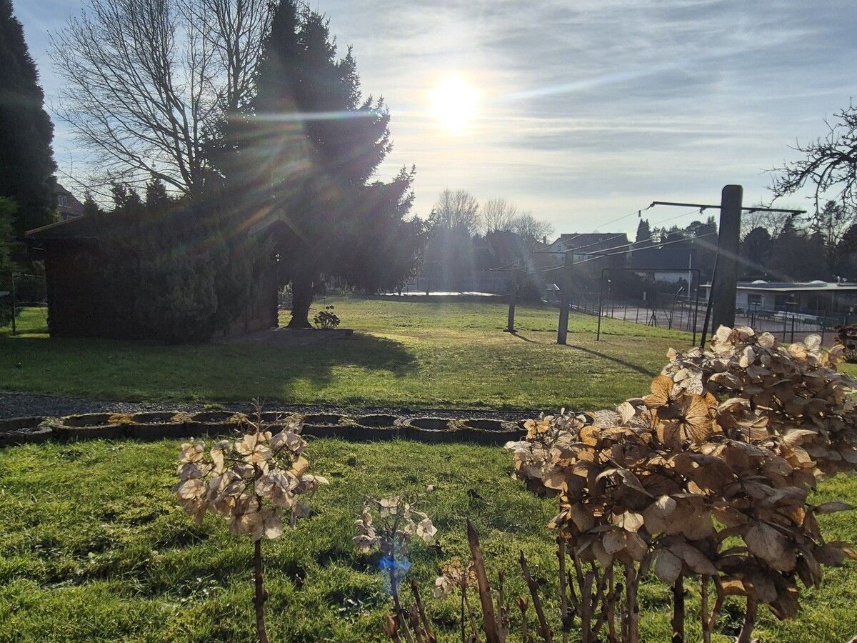 ...in sonniger Höhenlage