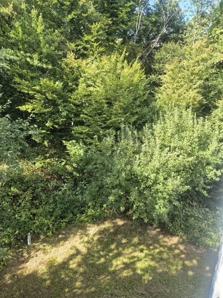 ...mit Ausgang zum Garten