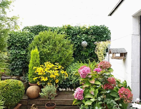 Dachterrasse