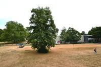 Blick in den Garten