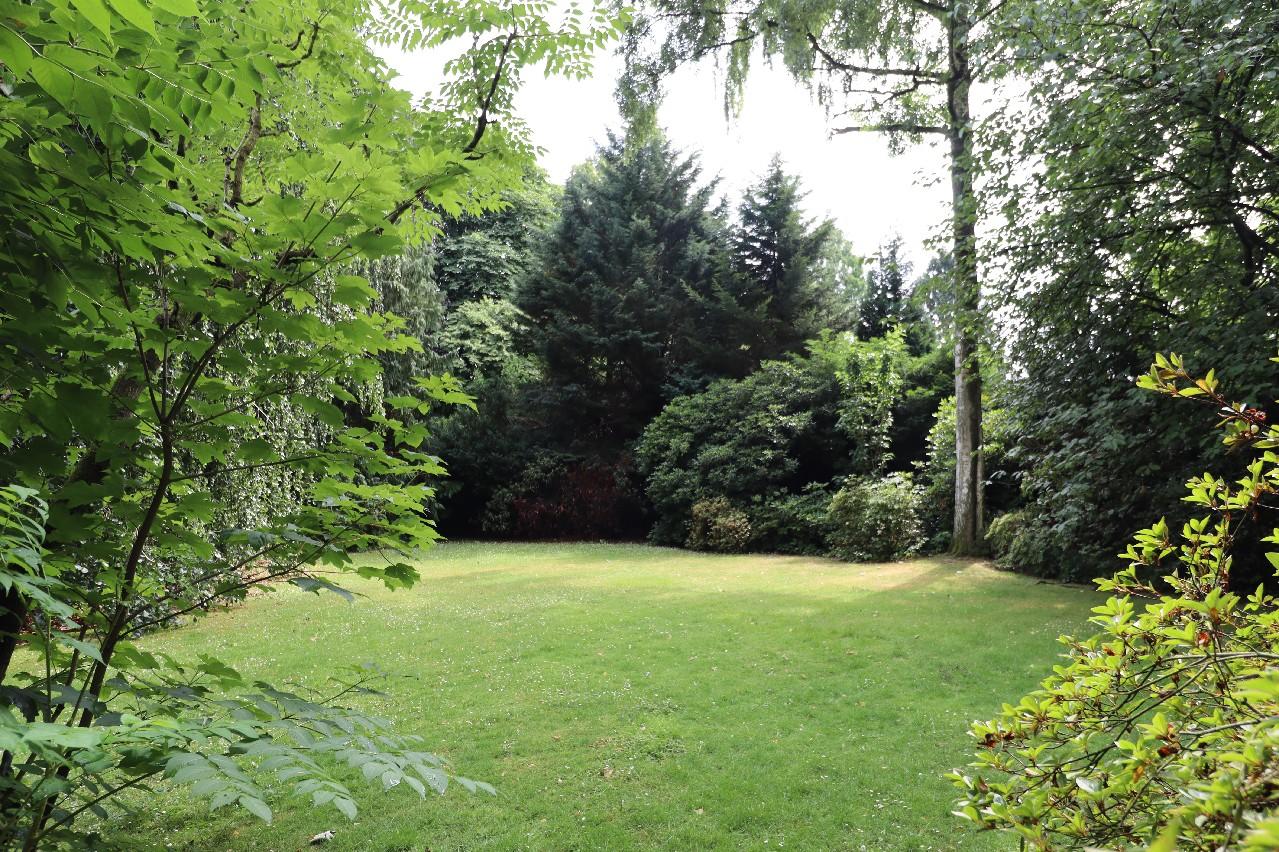 Eindrücke des parkartigen Garten