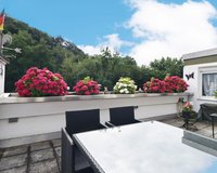 Dachterrasse mit Waldblick