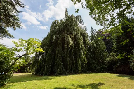 Eindrücke des parkartigen Garten