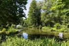 Teich im Garten