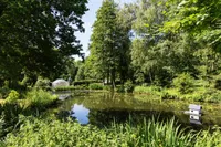 Teich im Garten