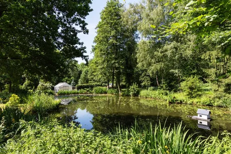 Teich im Garten