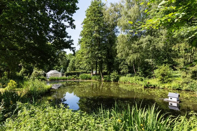 Teich im Garten