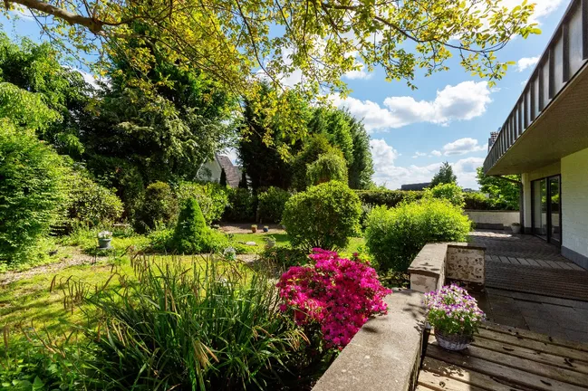 Garten Ansicht 3