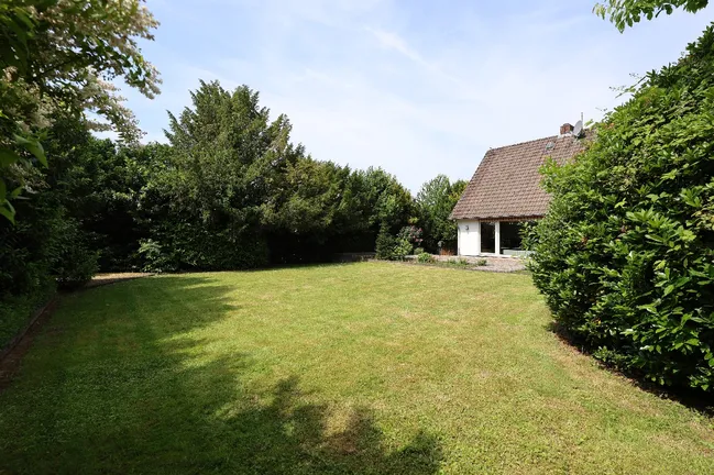 Blick in den Garten