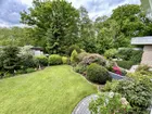 Blick in den Garten