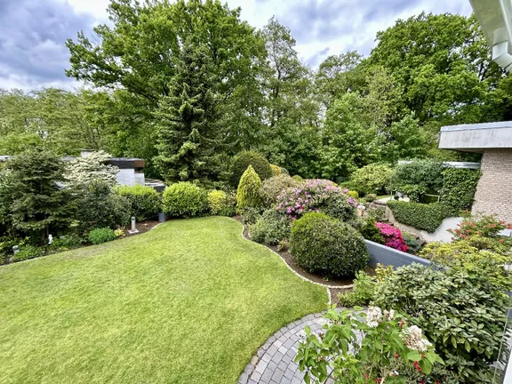 Blick in den Garten