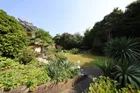 Blick in den Garten