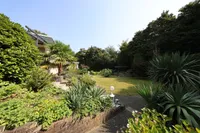 Blick in den Garten