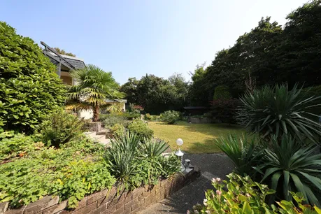 Blick in den Garten