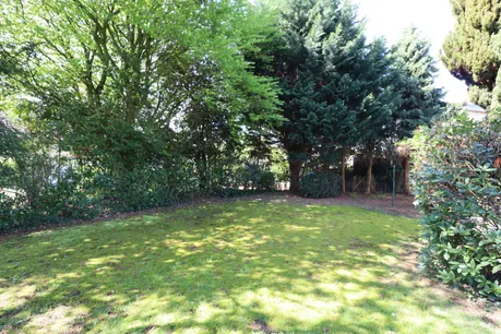 Blick in den großen Garten