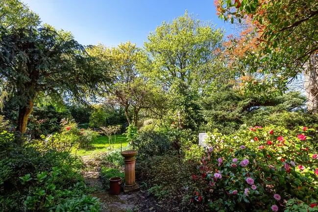 Blick in den großen Garten