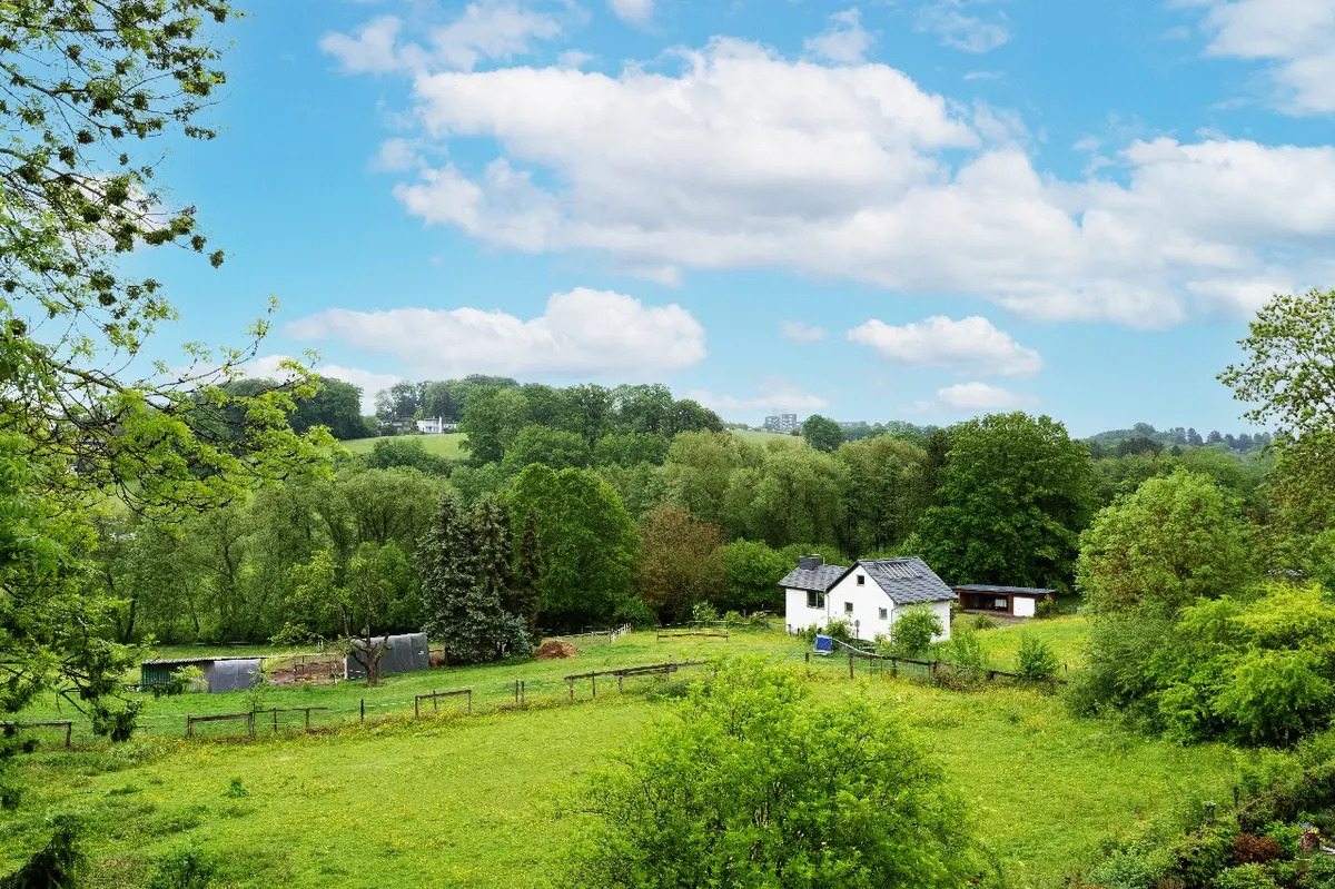 Blick ins Wiembachtal