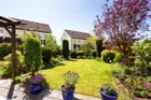 Blick in den Garten