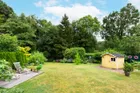 Blick in den Garten