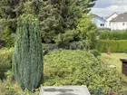 ca. 192 qm eigener Garten