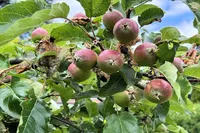 Und plötzlich hört das Suchen auf.