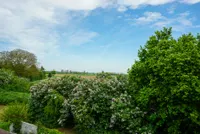 ... mit toller Aussicht