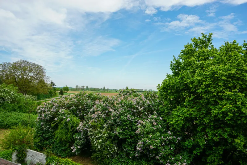 ... mit toller Aussicht